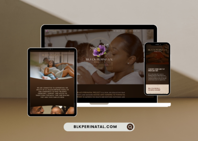 The Black Perinatal Project